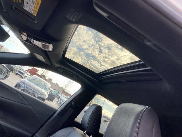 2024 Lexus RX Premium +