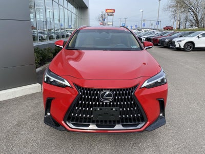 2025 Lexus NX NX 350 Premium