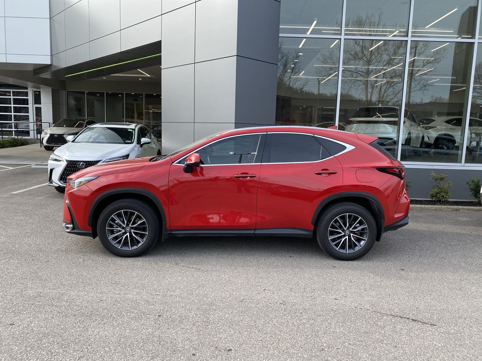 2025 Lexus NX NX 350 Premium