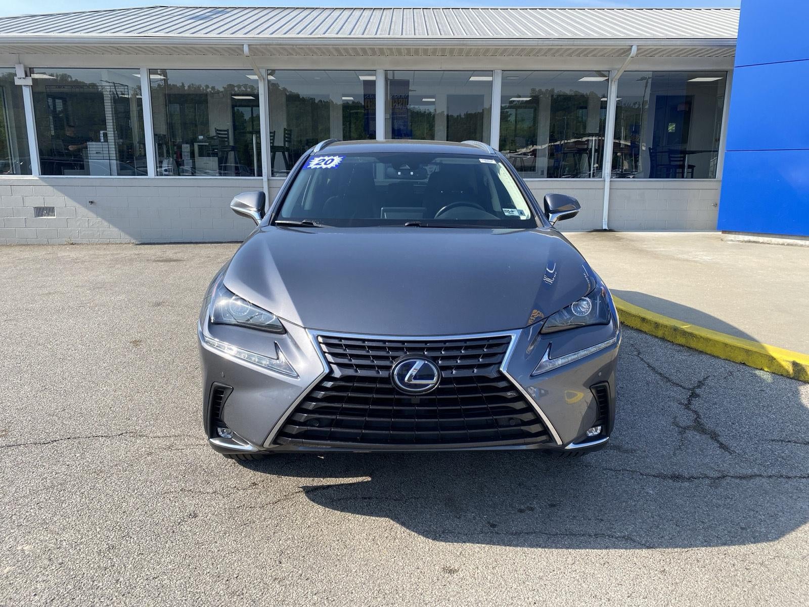 2020 Lexus NX NX 300h