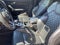 2022 Audi SQ5 Premium Plus